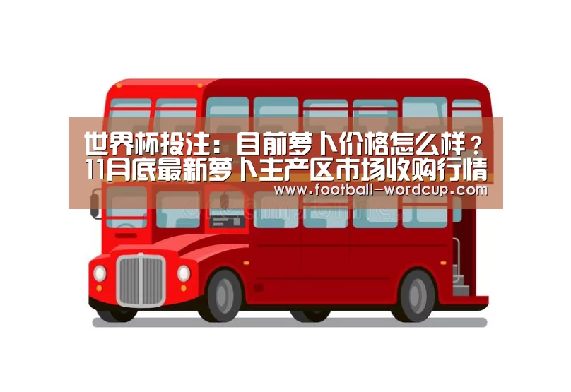 世界杯玩法